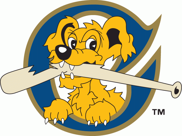 Charleston Riverdogs 1996-2010 Cap Logo iron on heat transfer